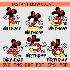 Minnie Birthday Bundle SVG, Disney Birthday Bundle SVG