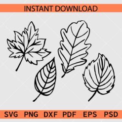 Fall Leaves Vector SVG, Fall Leaves Clipart SVG, Fall Leaves Illustration SVG, Fall Leaves Drawing SVG