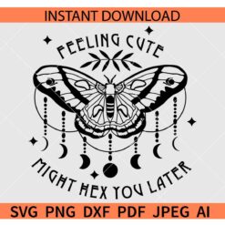 Feeling cute might hex you later butterfly SVG